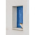 Mastering the Hinged Window Screen: A Comprehensive Guide