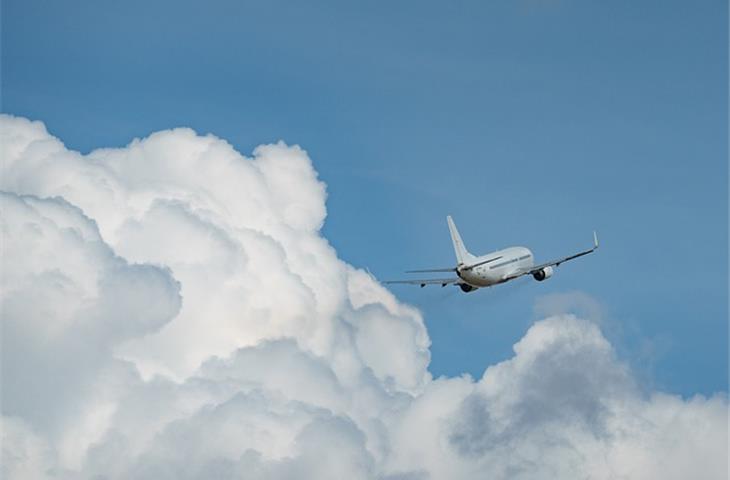 airplane hinge