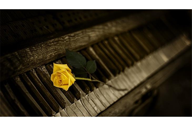 6 piano hinge