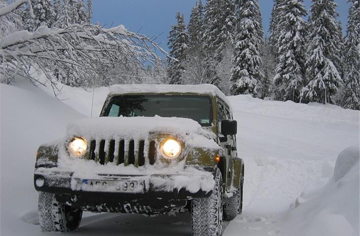 jeep hinge steps