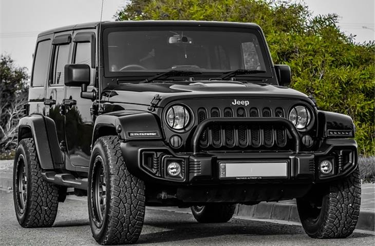 jeep hinge steps